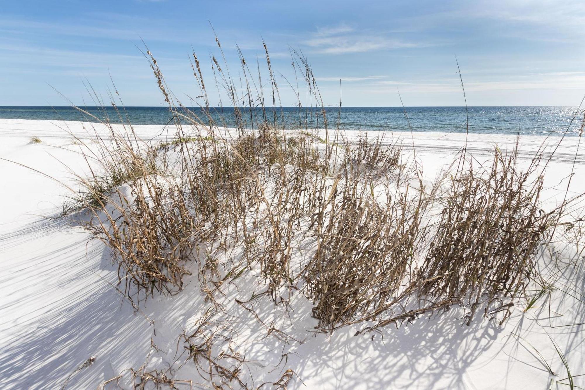 Nautilus 2408 Gulf View 2 Bedroom 4Th Floor Free Beach Service Fort Walton Beach Zewnętrze zdjęcie